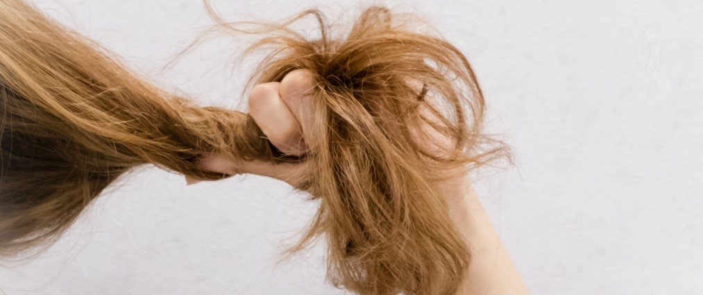 dealing with dry, stiff hair