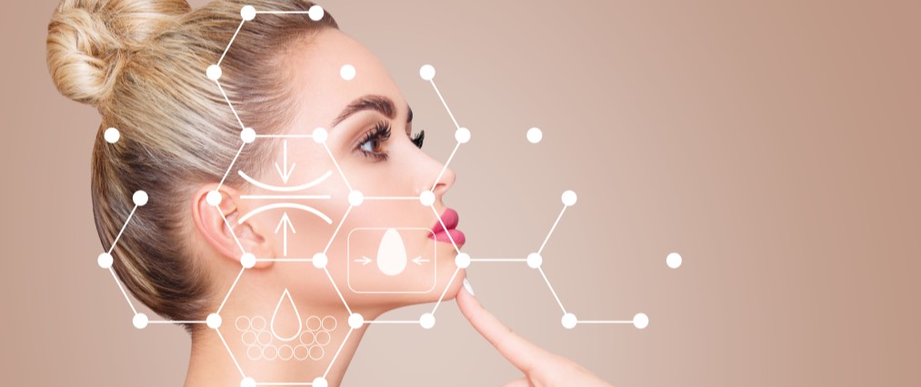 the terminology of cosmetologists