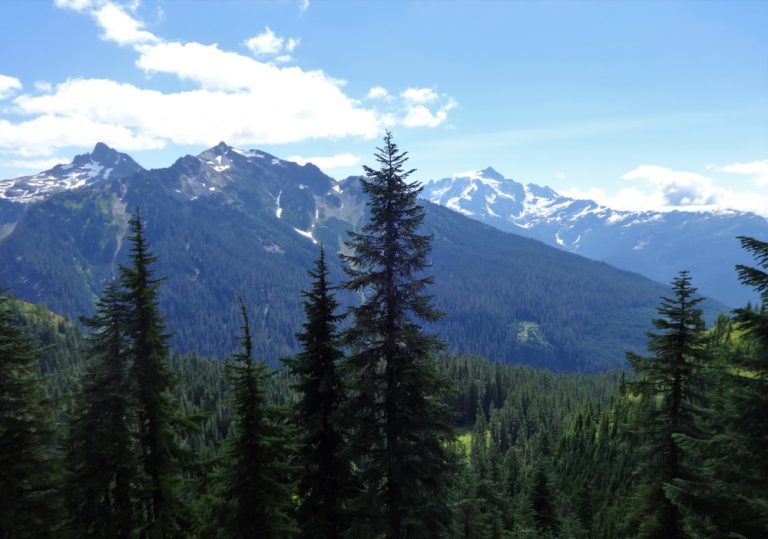 What it Means to Be Evergreen