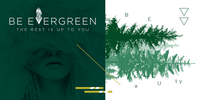 What it Looks Like to “Be Evergreen”